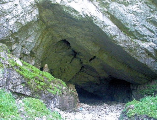 Coiba Mare peştera cave – Munţii Bihorului
