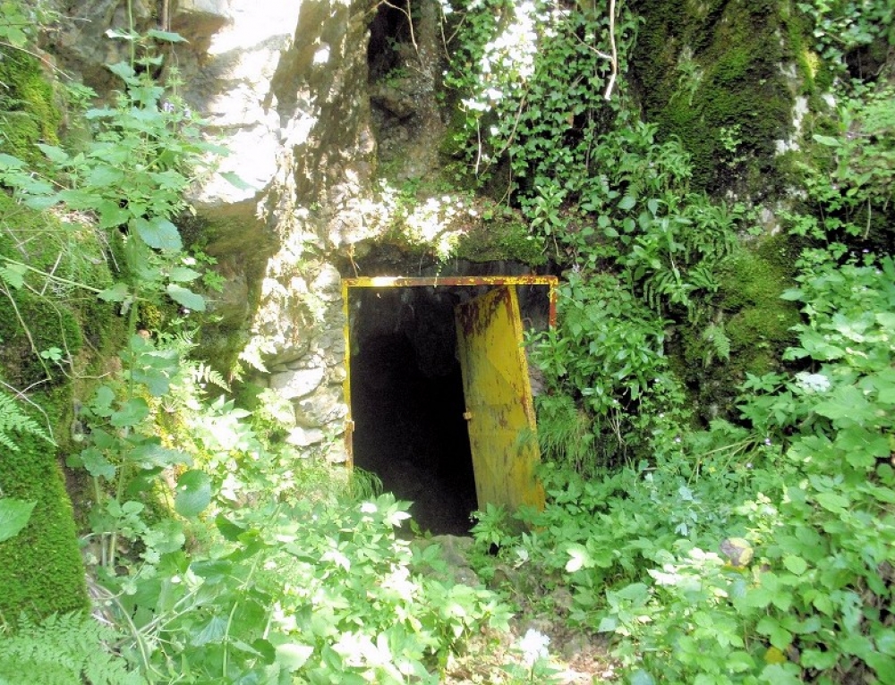 Topla peshtera cave Goljama Zeljazna, Trojanska planina Cavebiology